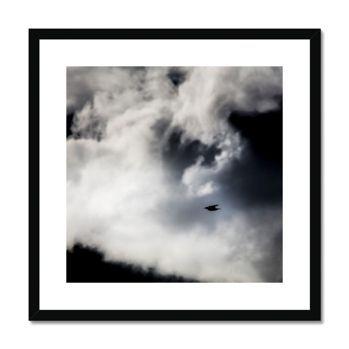 Storm Raven 1 Framed & Mounted Print