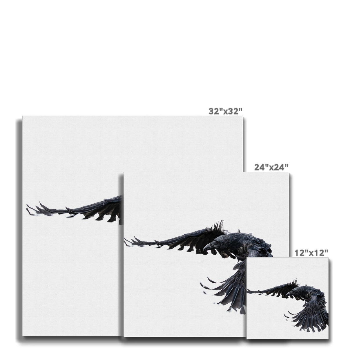 Raven 2 Canvas