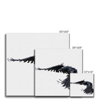 Raven 2 Canvas