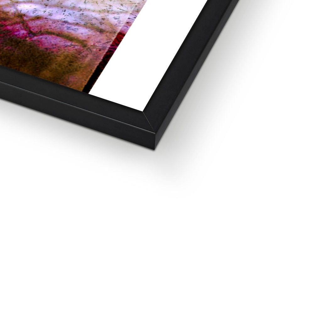 Woodland Crow Framed Print