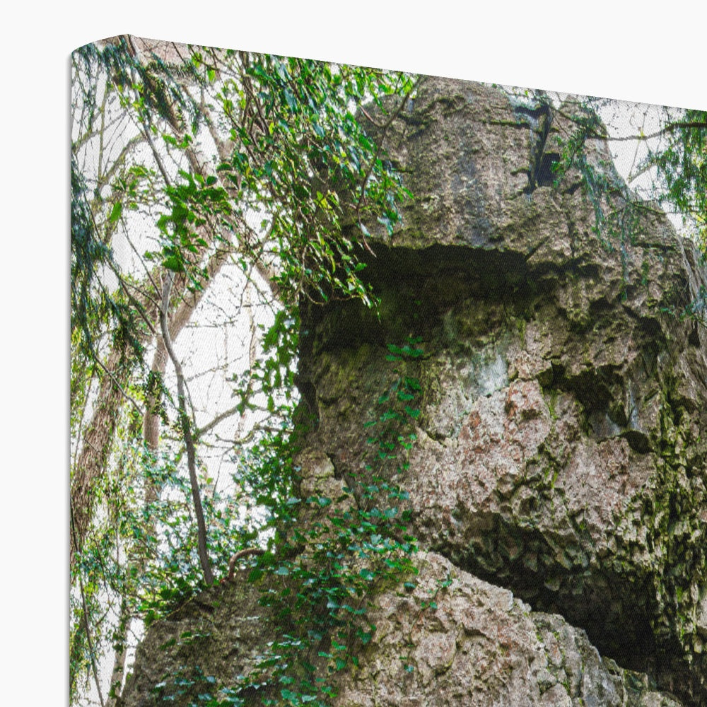 Rock Guardian Canvas