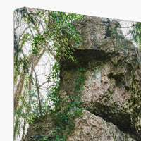 Rock Guardian Canvas