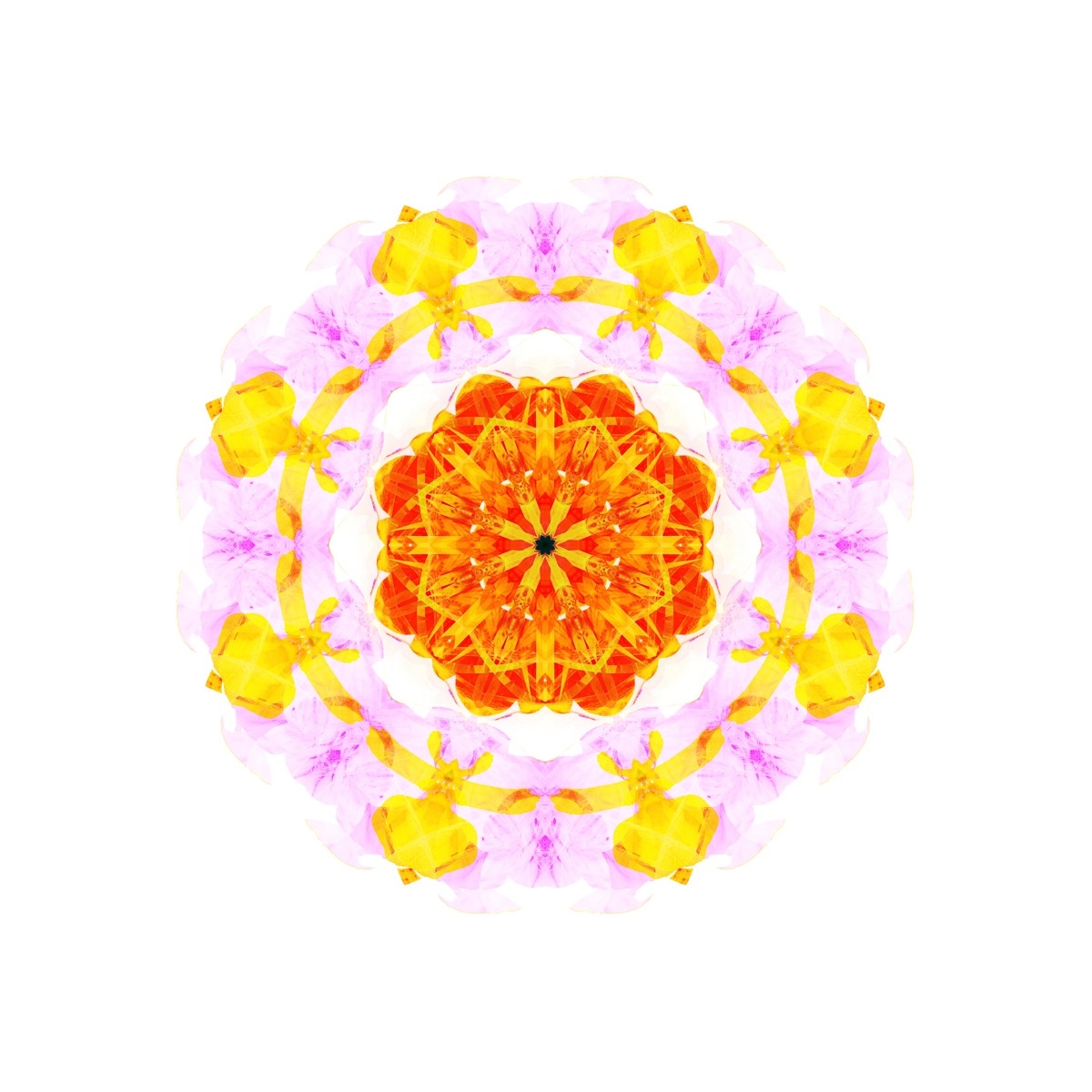 Creativity Mandala