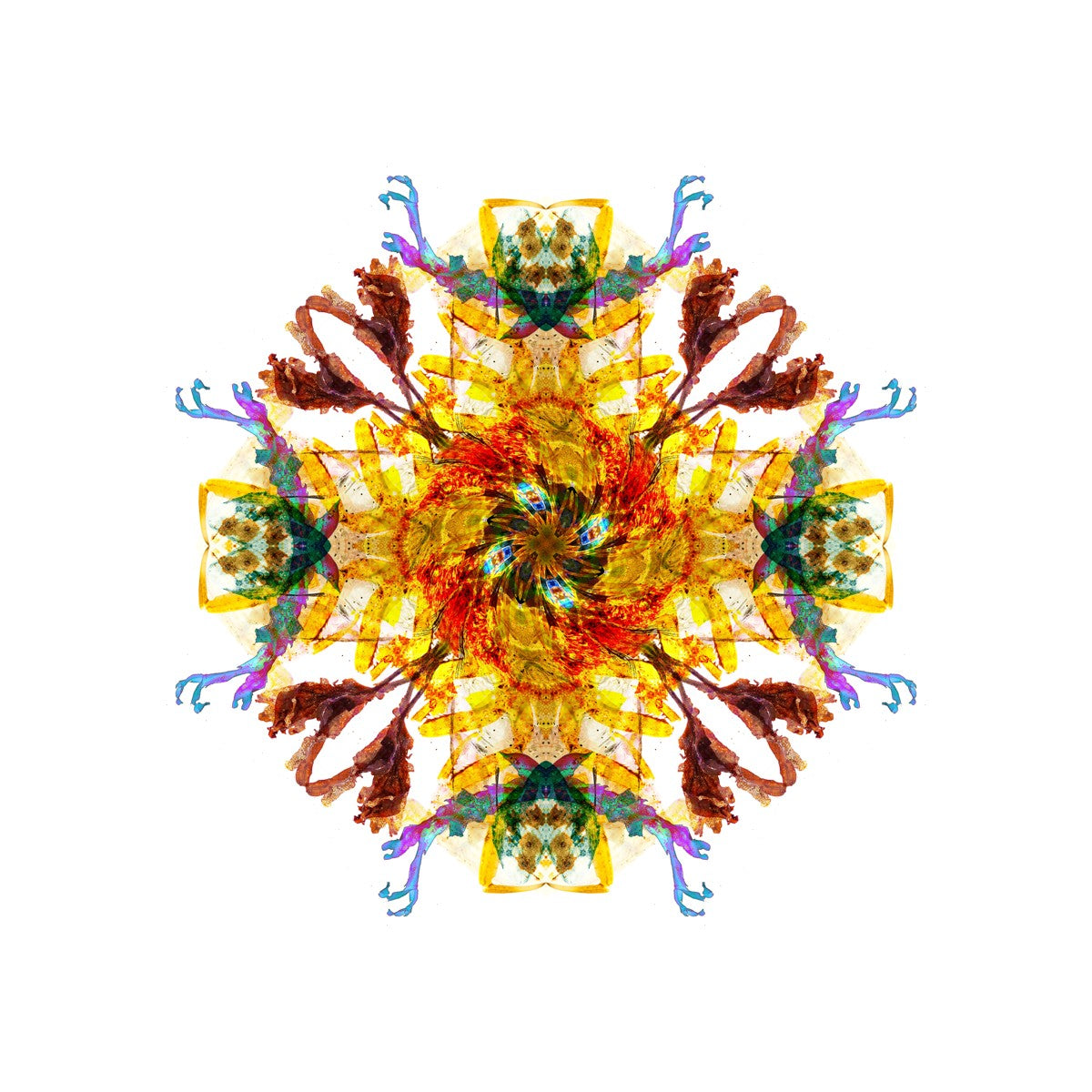 Ancient Wisdom Mandala