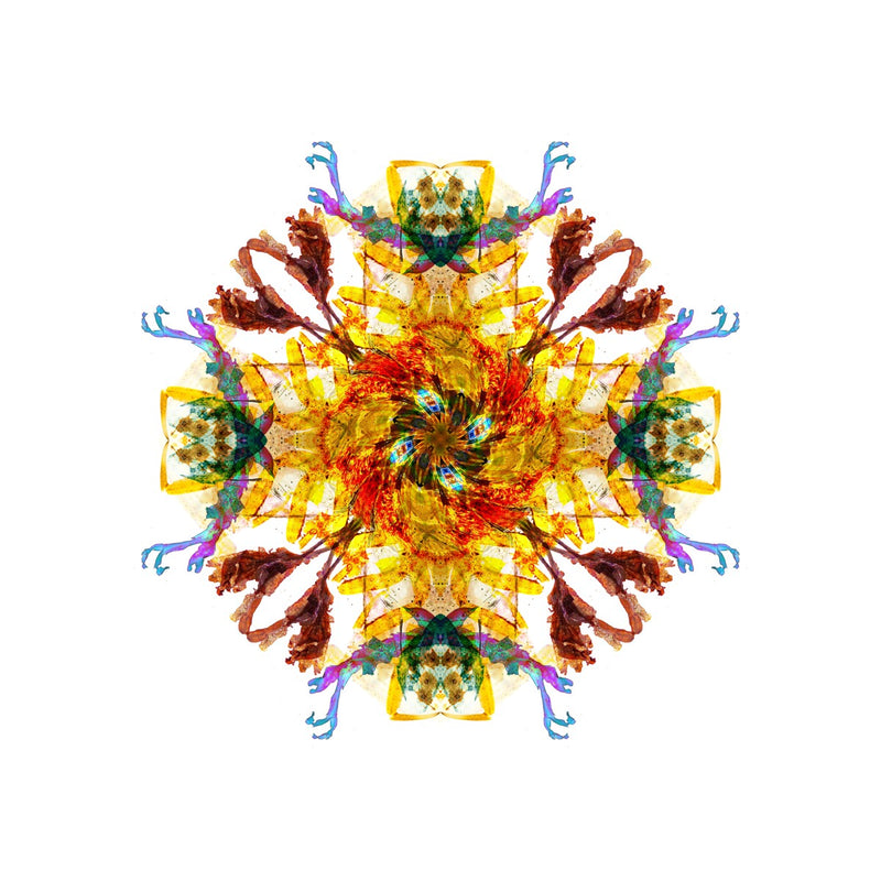 Ancient Wisdom Mandala