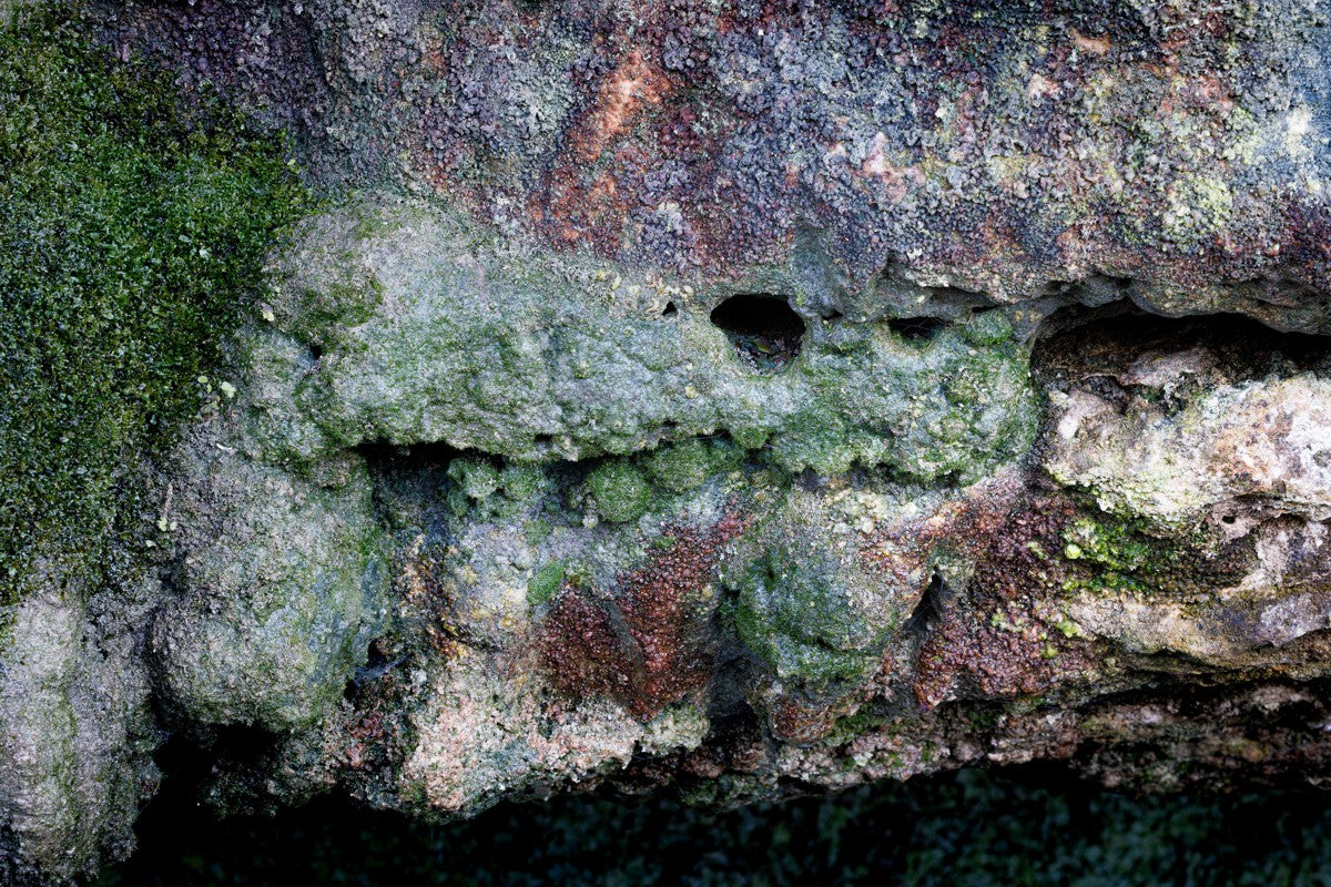 Rock Face