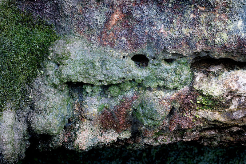 Rock Face