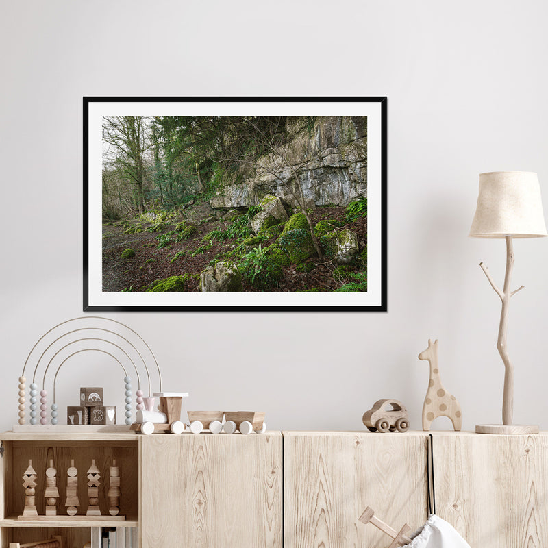 Woodwell framed prints