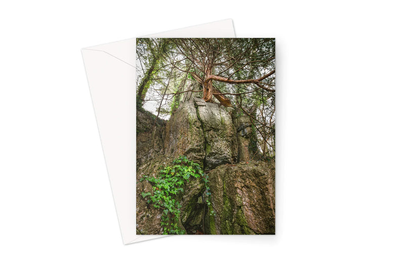Woodwell greeting cards
