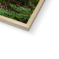 Woodwell Secrets Framed Print