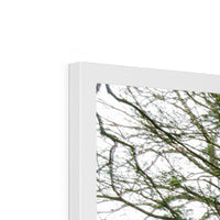 Woodwell Secrets Framed Print