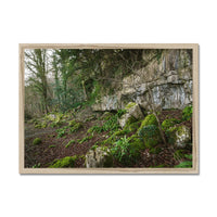 Woodwell Secrets Framed Print