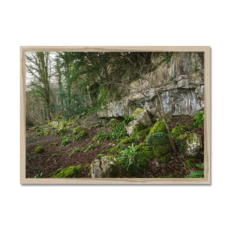 Woodwell Secrets Framed Print