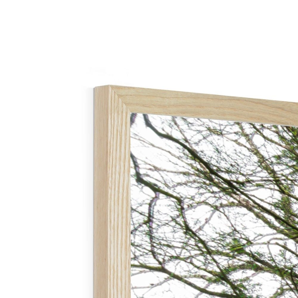 Woodwell Secrets Framed Print