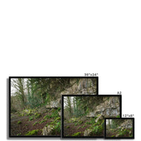 Woodwell Secrets Framed Print