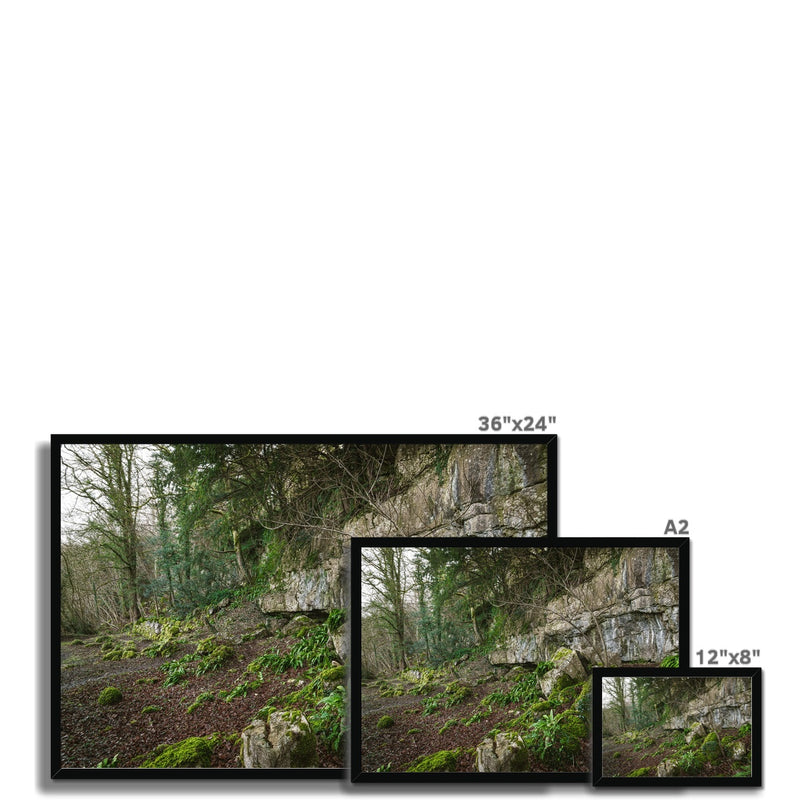 Woodwell Secrets Framed Print