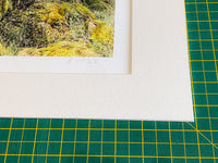 Mother Willow Artist's Proof Fine Art Print