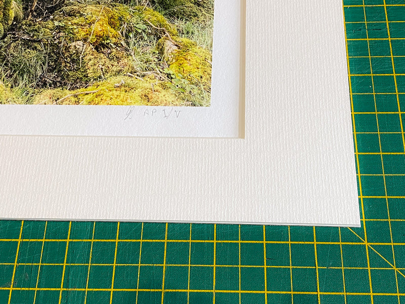 Mother Willow Artist's Proof Fine Art Print