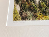 Mother Willow Artist's Proof Fine Art Print