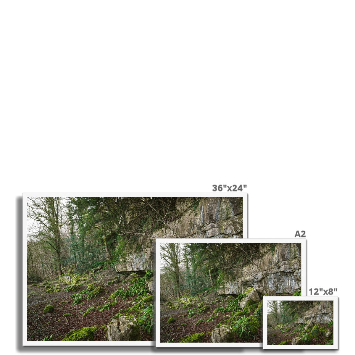 Woodwell Secrets Framed Print
