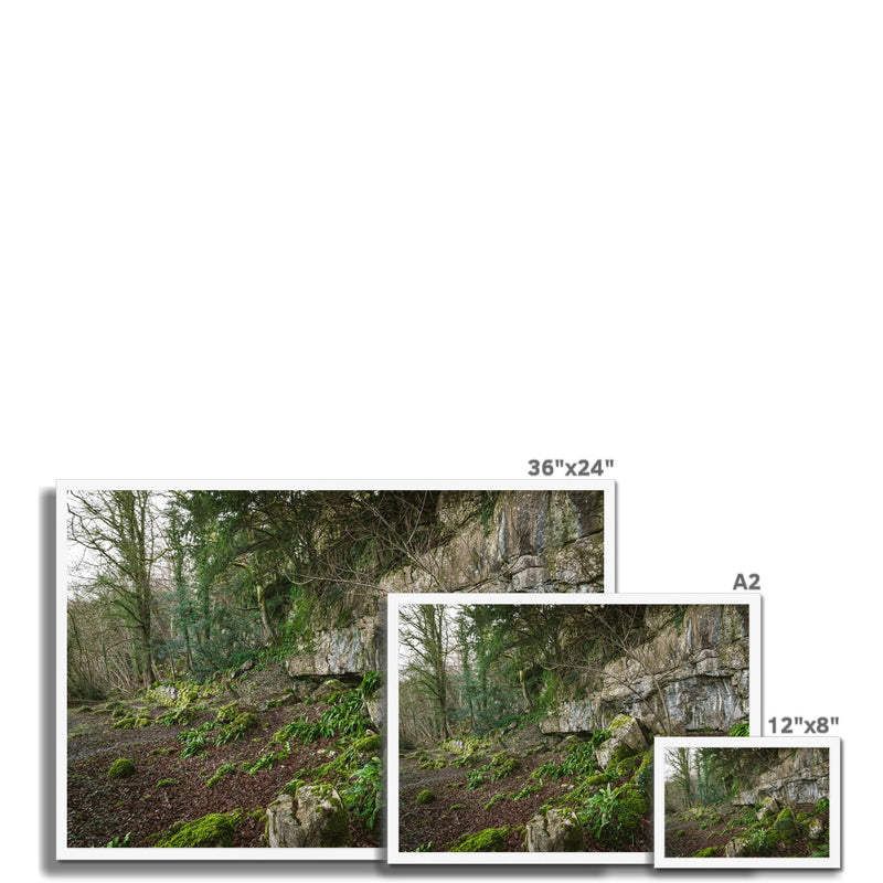 Woodwell Secrets Framed Print