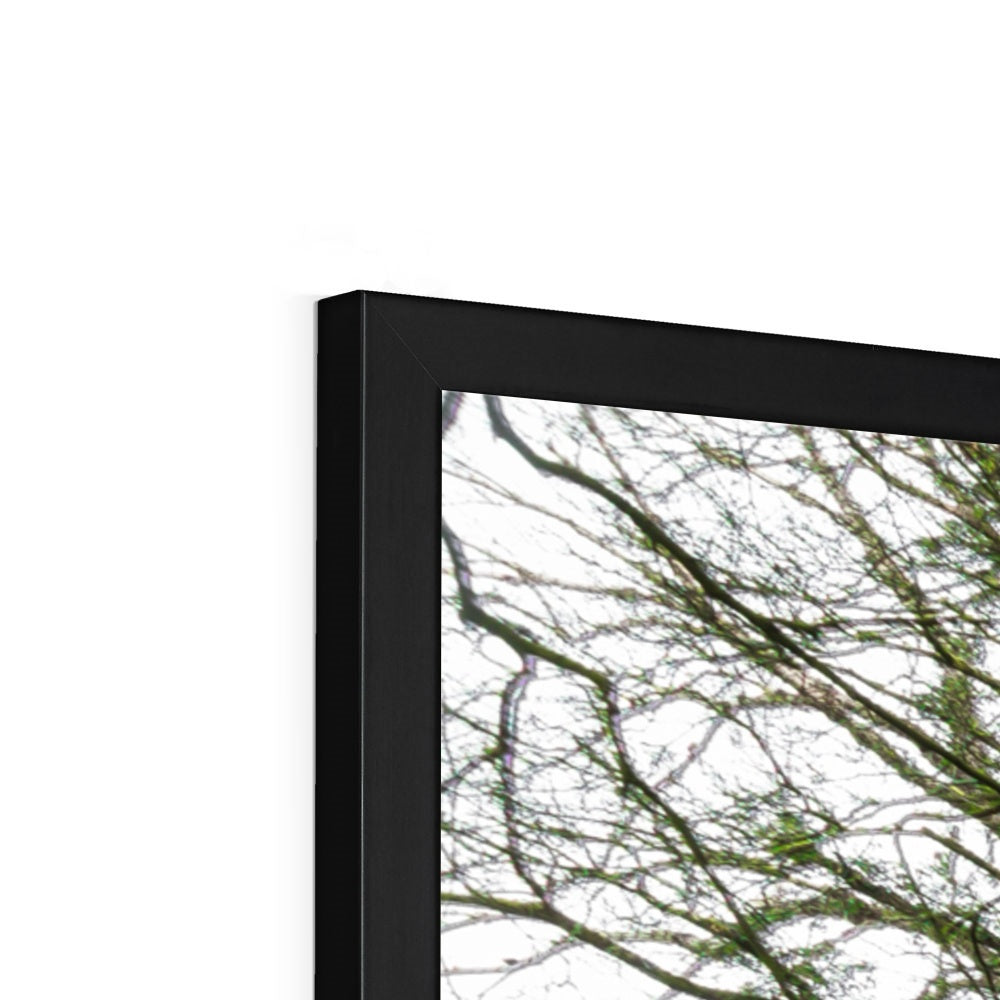 Woodwell Secrets Framed Print