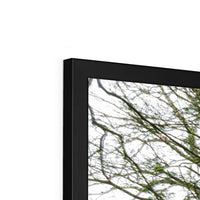 Woodwell Secrets Framed Print