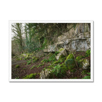Woodwell Secrets Framed Print