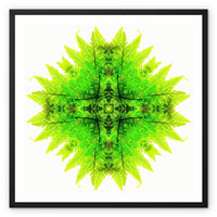 Spirit of Place Framed Canvas