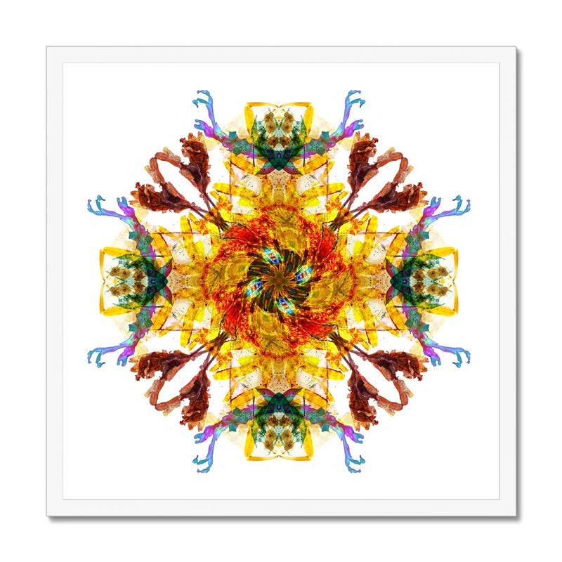 Ancient Wisdom Mandala Budget Framed Poster