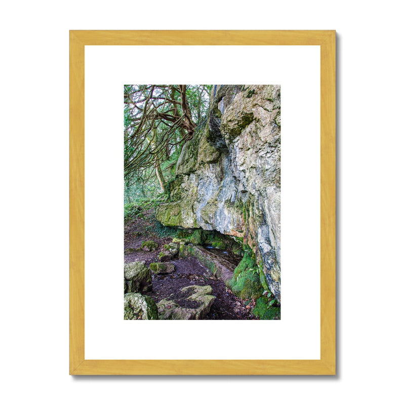 Yew guardian Antique Framed & Mounted Print
