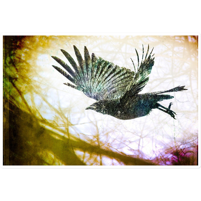 Woodland Crow Sticker