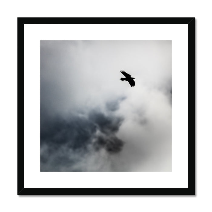Storm Raven 2 Framed & Mounted Print