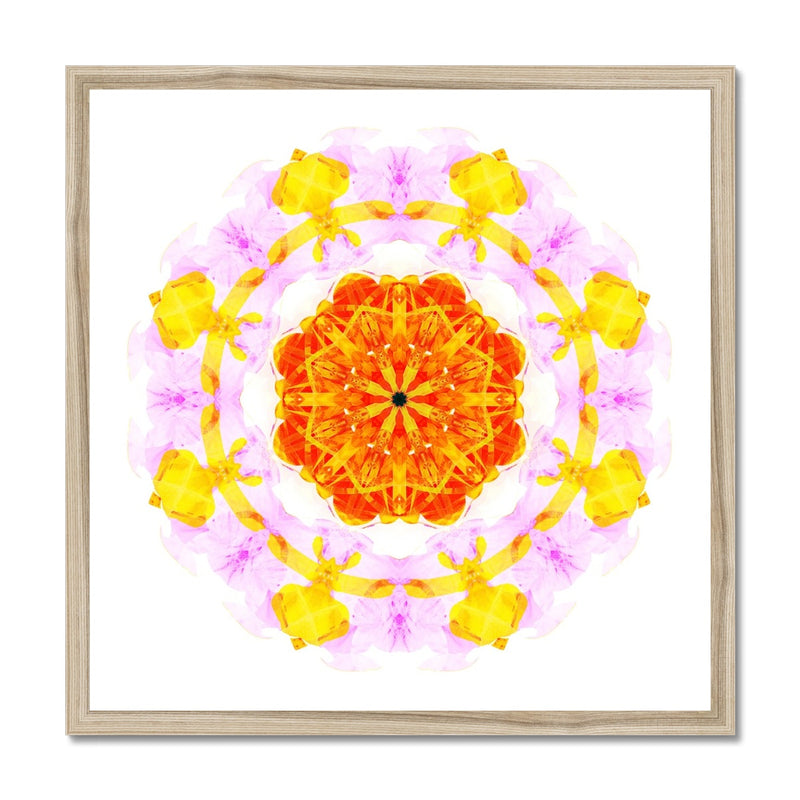 Creativity Mandala Budget Framed Poster