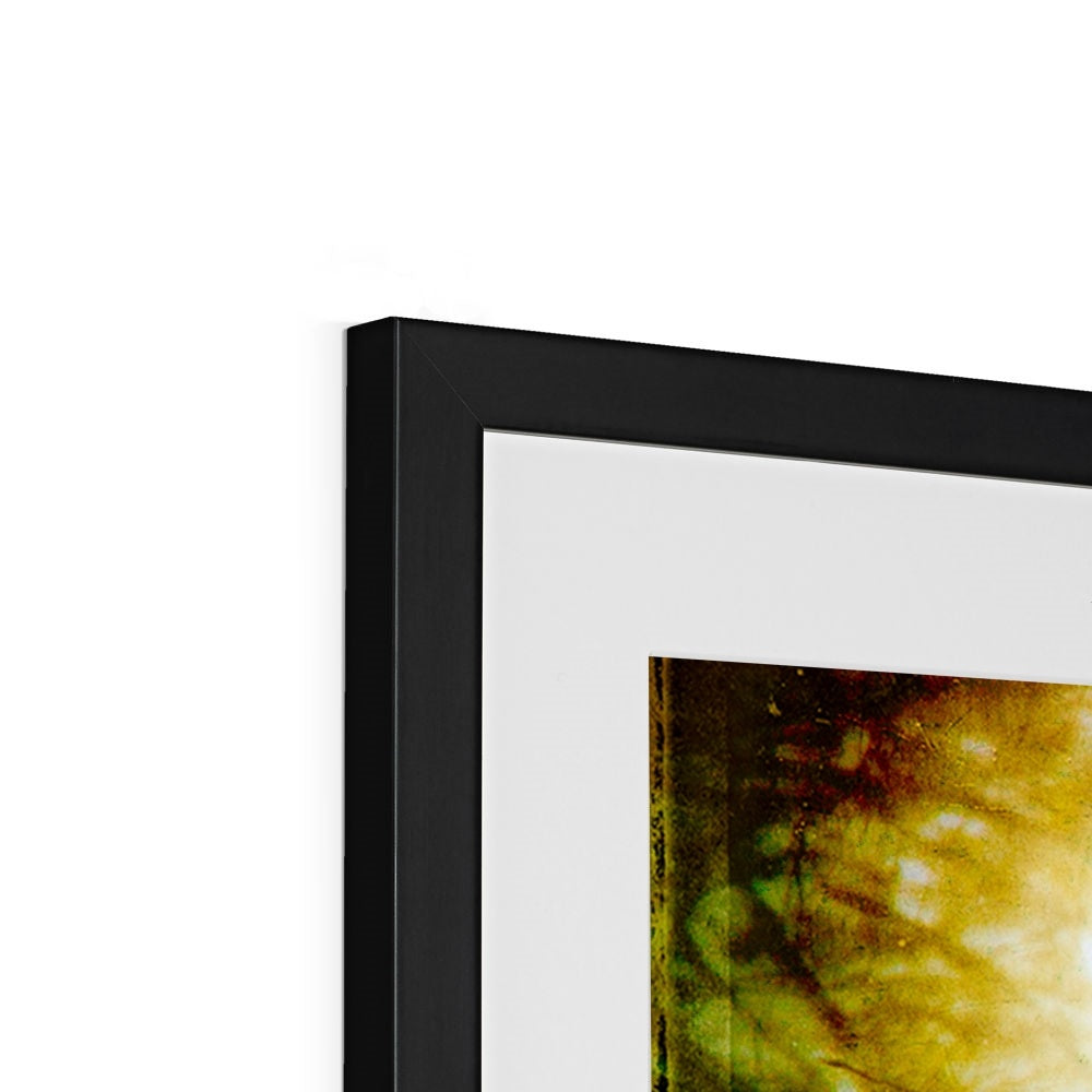 Woodland Crow Framed & Mounted Print