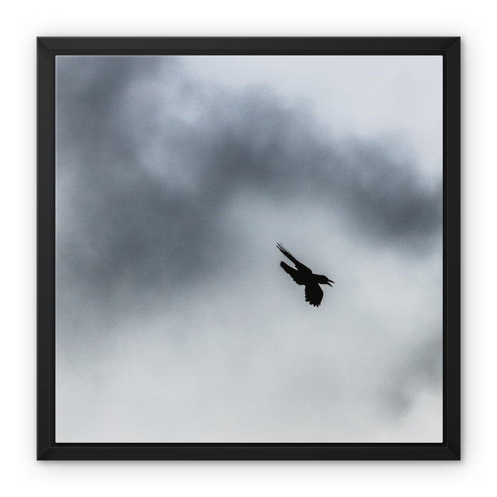 Storm Raven 3 Framed Canvas