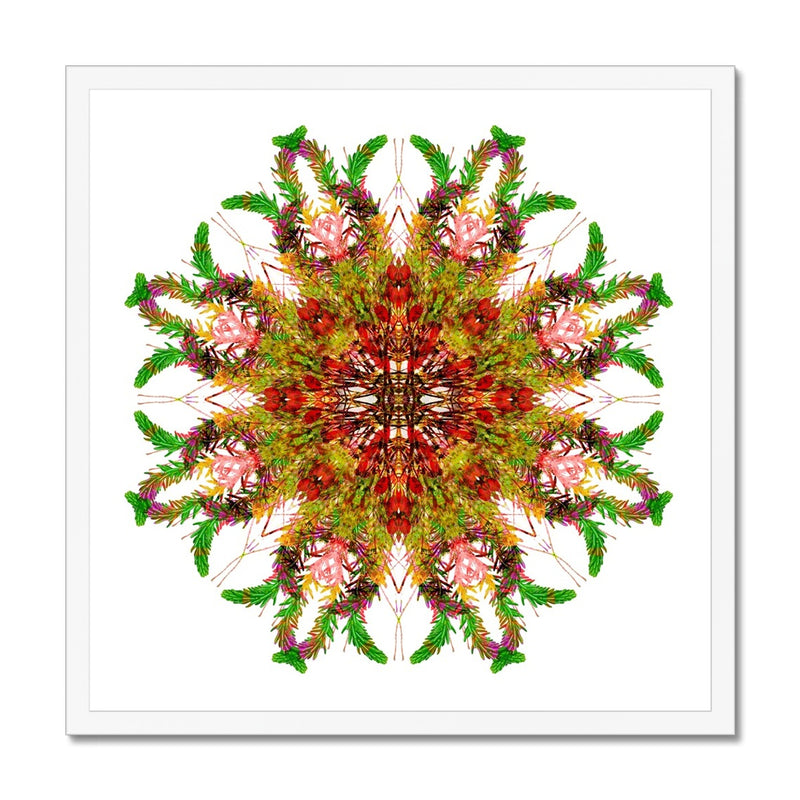 Bounty Mandala Budget Framed Poster