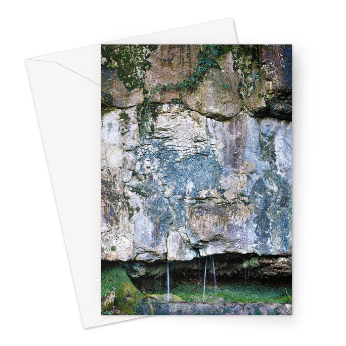 Limestone and Ivy Greeting Card