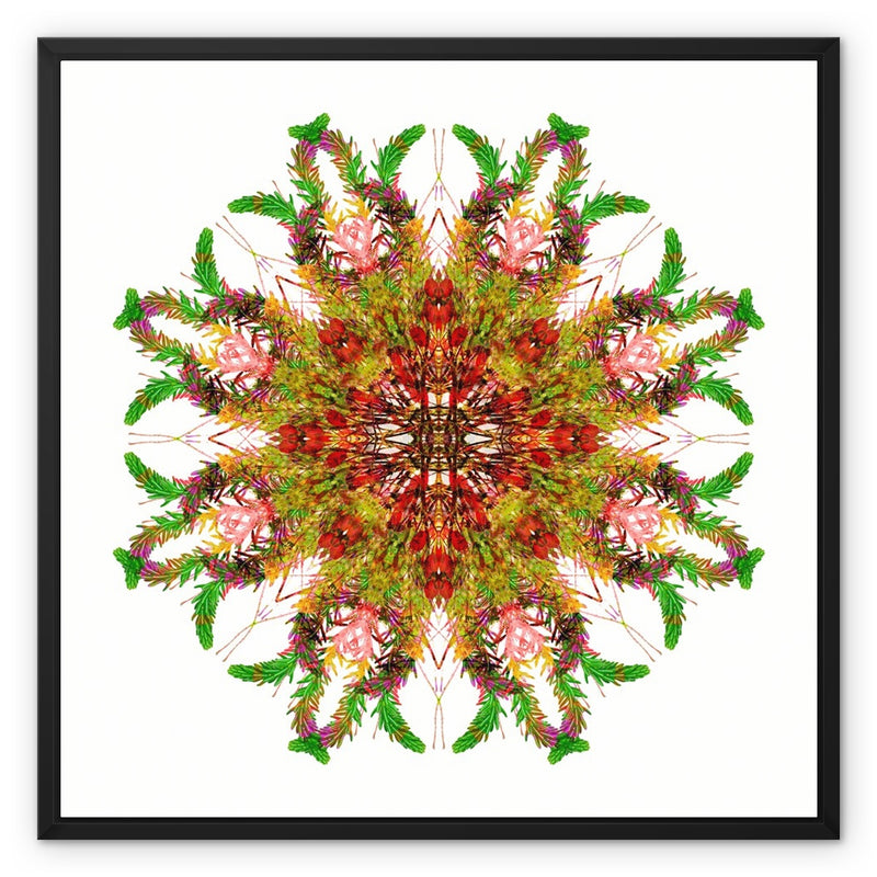 Bounty Mandala Framed Canvas