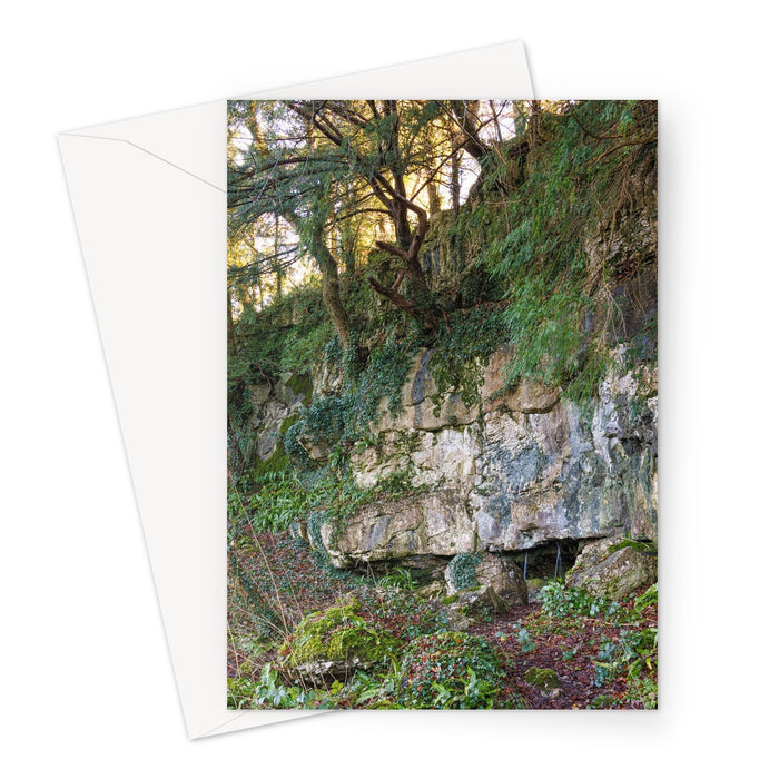 Woodwell Mystery Greeting Card