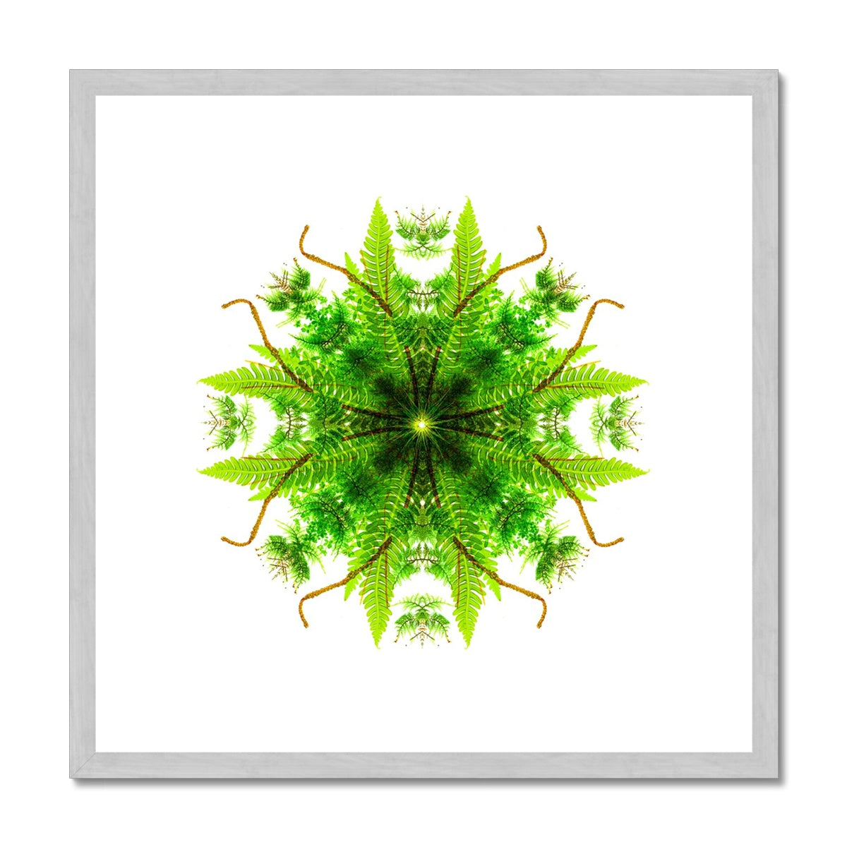 Heart of Nature Antique Framed & Mounted Print