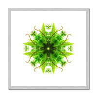 Heart of Nature Antique Framed & Mounted Print