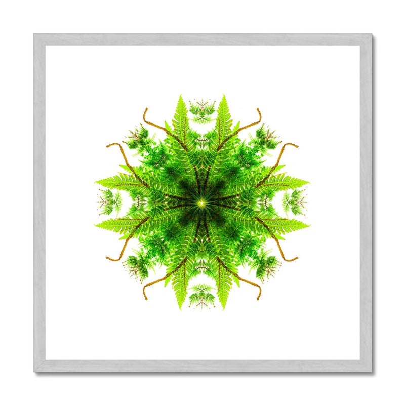 Heart of Nature Antique Framed & Mounted Print