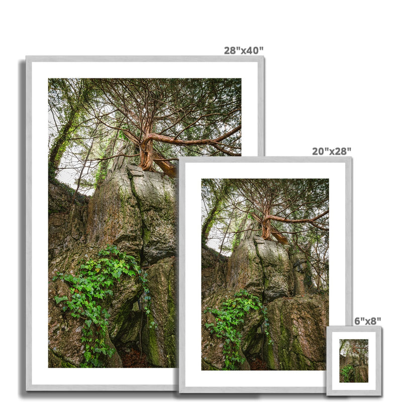 Boulder and Yew Antique Framed & Mounted Print