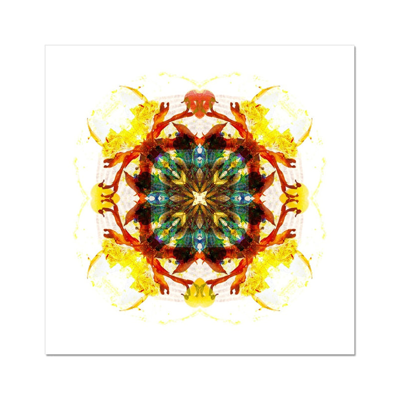 Earth Healing Hahnemühle Photo Rag Print
