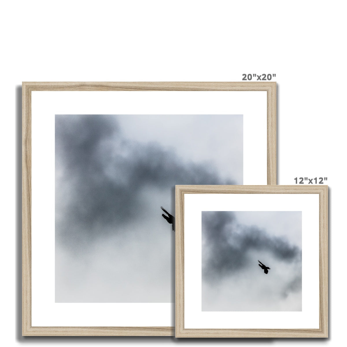 Storm Raven 3 Framed & Mounted Print