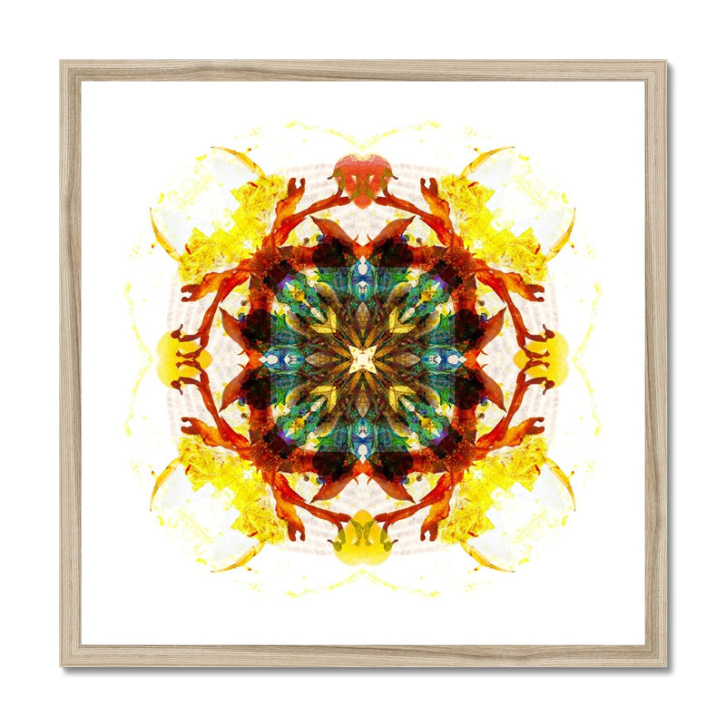 Earth Healing Framed Print