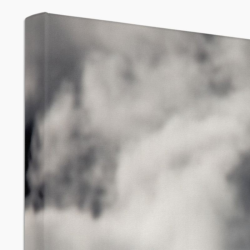 Storm Raven 1 Canvas
