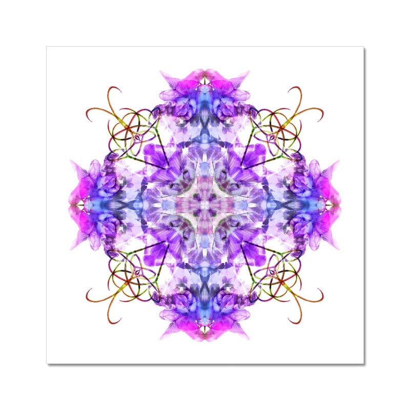 Cave Capriolique Fine Art Print