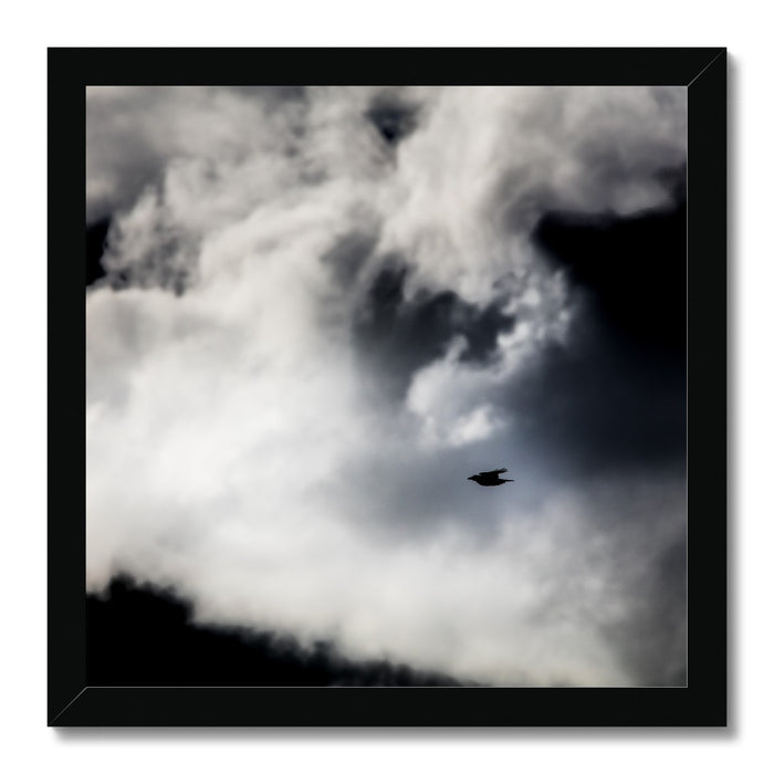 Storm Raven 1 Framed Print